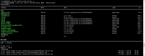 图片[5]-【原创】手动部署Zabbix 7.0 LTSC监控系统